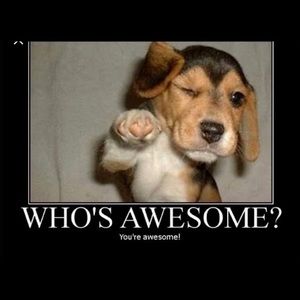 Meet your Posher, Deeba